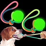 Trainingsball für Hunde, leuchtet im Dunkeln, 6,9 cm, Spielzeug mit 30,5 cm langem Seil für kleine, große, mittelgroße Hunde, leuchtend, interaktives Zugbelohnung, Apportierspielzeug, 2 Stück