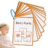 Körperteile-Taschenkarte, Körperteile-Lernkartei,Englische Pocket-Karte, 15-teilige Körperteile-Flash-Karte - Vokabel-Wörter-Flashcard, pädagogisches Lern-Flashcard für Kleinkinder