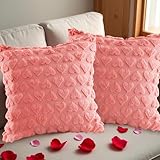 ACAREY Kissenbezug Valentinstag Deko, 2 Stück Plüsch Kissenbezüge 45x45 cm, 3D Herzform Kissenbezüge Jubiläum, für Geburtstagsgeschenke Valentinstag Weihnachten Jubiläum (A)