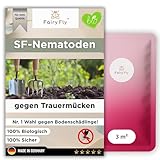 FairyFly SF Nematoden gegen Trauermücken & Thripse 3m²/15 Pflanzen - Biologische Schädlingsbekämpfung