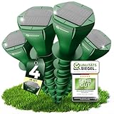 HEIMWERT Maulwurf Vertreiber Wühlmausschreck - SCHNELLE Ergebnisse mit KI Wechselfrequenz Automatik - Solar Abwehr wasserdicht und flüsterleise - auch gegen Wühlmäuse (4 Stück)