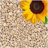 Lyra Pet® | 25 kg Sonnenblumenkerne Geschält Bruch | Wildvogelfutter Ganzjährig | Optimal für Jungtiere | Vogelfutter für Wildvögel | Wertvolles Streufutter | Energiespender für Sommer + Winter