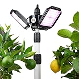 Meine Orangerie - LED-Pflanzenlampe FLEX [60W] - Vollspektrum LED Pflanzenleuchte zur Überwinterung von mediterranen Pflanzen - Entwickelt mit den Zitruspflanzen-Profis (LED Lampe mit Stativ)