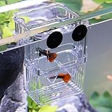 FGXY Aufzuchtbecken Aquarium, Aquarium Zucht Isolation Box, Züchter Isolation Divider Brutkasten, Multifunktional, Für Guppy Garnelen Mollys, Aquarium Babybecken Isolationskiste Jungfiisch