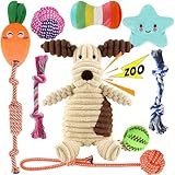 Kapetgo Hundespielzeug, Welpenspielzeug ab 8 Wochen, interaktives Seilspielzeug, unzerstörbar, robust, Kauspielzeug, 10 Stück