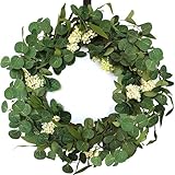 OrgMemory Eukalyptus-Kranz für die Haustür, 50cm, Türkranz, Weihnachtsdeko, Frühlings-Sommer-Kranz, Fensterdeko