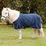 Shetty-Regendecke Light