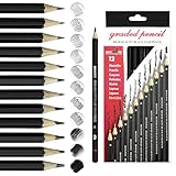 auriikoop Bleistift Set, 12 Stück Zeichenstifte, 2H H F HB B 2B 3B 4B 5B 6B 7B 8B, Professionell zum Zeichnen, für Künstler, Kinder, Erwachsene, Zeichnungen, Skizzieren Liebhaberin