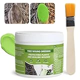 Allisway Wundverschluss für Bäume, Baumwachs für Obstbäume, Baumwachs Wundverschluss Obstbäume für Gartenpfropfen, Ziergehölze, Bonsai, Fördert Die Wundheilung, Bildet Schnell Einen Schutzfilm, 300 g