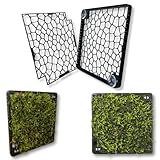 Generisch Mooswand Aquarium – Rückwand-Gitter zum Begrünen – Slim Design mit Saugnapf – für Moos & Aufsitzerpflanzen – Aquarium Pflanzen Zubehör (Aquanetic Magnetbefestigung)