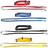 Schecker Set aus: 4 Welpenhalsbänder + 4 Welpenleinen im Set 4 Farben ideal für Züchter oder Sparpaket Welpenhalsband mit Leine als Set