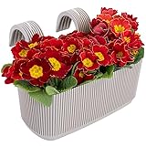 Konzept 11 - Blumenkasten Balkon mit Halterung Beige 11,5x29x19cm Balkonkasten zum Einhängen, Geländerblumenkästen Set inkl. Halterungen für Blumen & Pflanzen