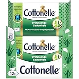 Cottonelle Feuchtes Toilettenpapier, Wohltuende Sauberkeit, Mit prebiotischer Lotion, Biologisch Abbaubar, Plastikfrei, Wiederverschließbar, 12 x 42 Feuchttücher