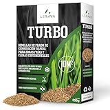 LERAVA TURBO Rasensamen schnellkeimend - für kühle Gebiete - Schattenrasen - leuchtend grüne Farben, resistenter Grassamen schnellkeimend - Nachsaat - 10m²