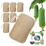 6 Stück Bio Luffaschwamm, 100% Biologisch, Abbaubar und Kompostierbar, Natürlicher Umweltschutz für Küche, Bad, Camping