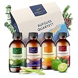 Warmwald - Saunaaufguss - Sauna Aufgussmittel mit natürlichen ätherischen Ölen - Saunaöl - Saunaduft (QUARTETT - 4 x 100ml)