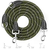 Aystkniet 2M Verstellbar Hundeleine für Große und Mittlere Hunde, Robuste Nylon Reflektierende Freihandleine mit 2 Karabiner, Vielseitig Führleine und Umhängeleine mit 250kg Zugkraft, Grün, 12mm