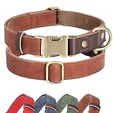 Didog Weich gepolstertes Leder-Hundehalsband für große Hunde, klassisches, robustes Hundehalsband mit Schnellverschluss-Metallschnalle, verstellbar, großes Hundehalsband, Leder, Braun, Größe L