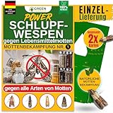 GREEN GUARDIA Schlupfwespen gegen Lebensmittelmotten - 2 Karten à 1 Lieferung - Effektiv & unweltfreundlich Lebensmittel Motten bekämpfen - Alternative zur Mottenfalle, Mottenspray, Pheromonfalle