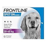FRONTLINE Spot ON Hund L gegen Zecken, Flöhe & Haarlinge (große Hunde 20 bis 40 kg) - 3X Pipetten für bis zu 3 Monate Schutz - wasserfest