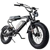 Freego Elektrofahrräder E-Bike DK200 Elektrofahrrad 20'' Trekkingrad E-Citybike mit 48V Lithium-Akku, LCD Display