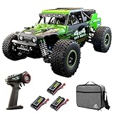 Teeggi Ferngesteuertes Auto 40km/h, 1/20 RC Hohe Geschwindigkeit Offroad Drift Rennauto, 2.4G Kohlebürste Motor 4WD Off Road Race Buggy für Erwachsene, 3 Batterien, SG202PRO(Grün)