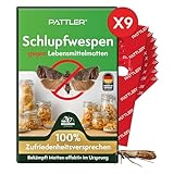 PATTLER® Schlupfwespen gegen Lebensmittelmotten - 9 Karten à 4 Lieferungen - Effektiv Motten bekämpfen - Alternative zur Mottenfalle, Mottenspray, Pheromonfalle (9 Karten à 4 Lieferungen)