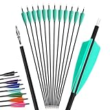 12Pcs 4inch Türkei Feder gemischt Carbon Pfeil 500 Spine Bogenschießen Jagdpfeile Anzug für Compound/Recurve Bogen Ziel Praxis Pfeil (blau, 31 Zoll)