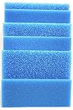 Wohnkult Filtermatte Filterschwamm blau alle Größen von 50 x 50 x 2 cm - 100 x 50 x 10 cm Grob und Fein (50 x 50 x 3 cm FEIN 30 PPI)