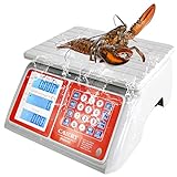 Elektronische Personenwaage Wasserdicht 30kg Digitale Personenwaage Fleischwaage LCD Display mit weißer Hintergrundbeleuchtung Wiederaufladbare Batterie enthalten Nicht Handel kompatibel