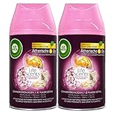 Air Wick Freshmatic Max Automatisches Duftspray Nachfüller, Sommervergnügen, Duo-Pack (2x250ml)
