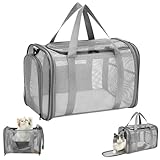 Quuylin Katzentragetasche, Transporttasche für Katze Hund, Hundetransportbox Hundebox Faltbar, Katzentransportbox mit Tasche & Griffen, Transportbox für Kleine Hund Katze, Zug, Reisen(46x26x29cm)