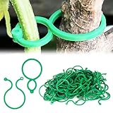 100 Stück Pflanzenclips für Kletterpflanzen,Garten Pflanze Rankhilfe,Kunststoff Kletterpflanzen Clips,Pflanzenklammern klein zur Rankhilfe und Befestigung von Pflanzen,für Tomaten, Gurken, Blum
