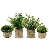 YVONNEYI 4 Stück Künstliche Pflanzen für Deko Wohnzimmer, Kunstpflanze Klein Eukalyptus, Fake Plant für Schlafzimmer Badezimmer Küchen Büro Zimmer Zuhause Innen Deko (005, 4 Stück)