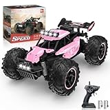 Carox Ferngesteuertes Auto,2.4 GHz 25 km/h RC Auto,1:18 Off Road Monstertruck mit Scheinwerfer und Fahrgestellbeleuchtung Crawler Truck Spielzeug
