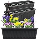 Hausfelder Blumenkasten 3er Set mit Wasserspeicher und Wasserstandsanzeige, Balkonkasten mit Bewässerungssystem für Innen und Außen, Pflanzkasten Fensterbank (Anthrazit-Schwarz, 60cm lang - 3er Set)