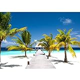Runa Art Fototapete Strand Meer Palmen Modern Vlies Wohnzimmer Schlafzimmer - Made in Germany - Blau Grün Weiss 9035010b
