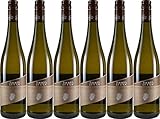 Zimmer Stettener Pulvermächer Gewürztraminer 2024 Halbtrocken Bio (6 x 0.75 l)
