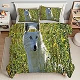 YZQGLHP Bettdecke 220x240 Polarwolf Wende Steppdecke Tier Bettdecke ohne Bezug, Weiche Microfaser, 4 Jahreszeiten Bettdecken mit 2 Kissenbezug 80x80cm