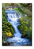 Pixxprint Glasbild, Wandbild aus Echtglas, Wasserfall im grünen Wald, 40x60 cm, inkl. Aufhängung und Abstandshalter