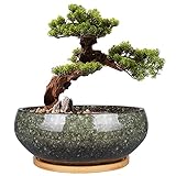 EPFamily Bonsai-Pflanztopf aus Keramik, glasiert, flach, Sukkulenten-Übertopf mit Ablaufloch und Untersetzer aus Bambus für Zimmerpflanzen, 20,3 cm, Grün