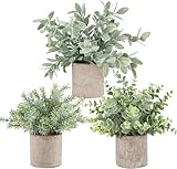 Der Rose 3 Stück Künstliche Pflanzen Wie Echt Eukalyptus Pflanzen Fake Plants für Deko Wohnzimmer Schlafzimmer Zimmer Wanddeko Badezimmer Deko (Grau)
