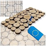 MODO24 Gehweg Gartenweg aus Holz, 8 Module, Gartentritt, Trittplatten, Holzscheibe, Holzscheiben, Weg Holzpfad, Gartenplatten, Beetplatten, Bodenplatten, Gehwegplatten, FSC Holz, Modulmaß 80x40x2 cm