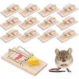 MOAZIFI Mausefalle Schlagfalle, 16 Stück Mausefalle Holz, Mausefalle, Mausefallen Testsieger, Mausefallen Kaufen, Wiederverwendbar Rattenfallen Schlagfallen, Mouse Trap Profi In Haus Und Garten