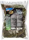 Trixie 76155 Terrarienmoos, Substrat für Feuchtterrarien, 200 g