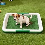 Hundetoilette mit Gitter & Auffangschale | 45x30 cm | Robust & Hygienisch | Für Innen & Außen | Einfache Reinigung (Wie Bild)