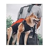 WJJKJH Hunde-Rucksacktrage – Wirbelsäulenfreundlich for Mittelgroße Bis Große Hunde, Horizontale Hundetrage Mit Verstellbaren Rückengurten, Bequemes Tragen Der Beine for Wandern/Radfahren(Large)