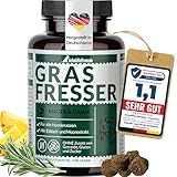 Schnüffelfreunde Grasfresser Drops für Hunde I bei Fressen von Gras und KOT I unterstützt einen ausgeglichenen Magen-Darm-Trakt beim Hund I mit Eibisch, Moorextrakt, Flohsamen (150g - ca. 180 Stück)