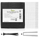 lampox Teichnetz, Gartennetz, Vogelschutz-Netz, Pool Netz, Obstbaumnetz, Vogelabwehr-Netz, Laubnetz, Witterungs- & UV-beständig, robust, 20x Erdhaken & 20x Kabelbinder (4 x 10m)