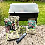 Pflanzen Kölle Kunststoff-Hochbeet Starter-Set eckig, 78 x 40 x 84 cm